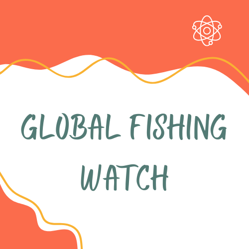 Global Fishing Watch: Track Ocean Sustainability
