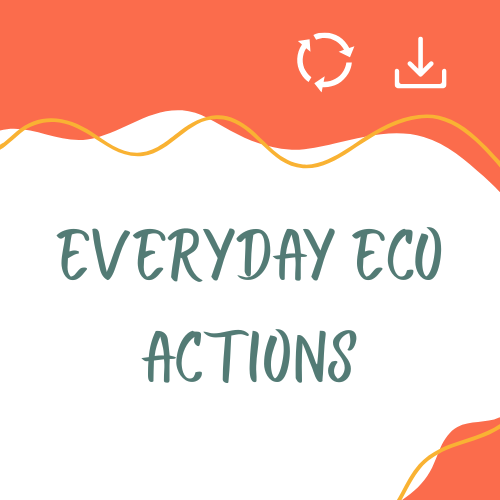 Circular Economy: Everyday Eco Actions